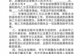 山海关为什么选择专业追讨公司来处理您的债务纠纷？